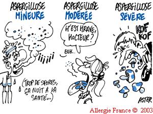 La chasse aux champignons est ouverte toute l’année.