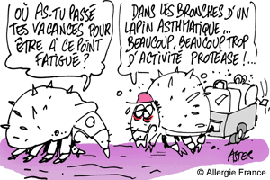 Exposition aux acariens et asthme : les protéases accusées publiquement !