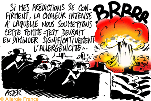 A 100° : plus d’allergie à la pomme : bon appétit les allergiques mais gare aux brûlures !!