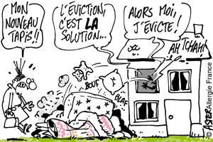 L’efficacité de l’éviction des allergènes est prouvée scientifiquement.