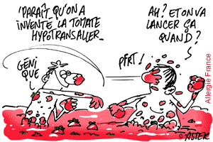 Il suffit de faire taire les tomates pour les rendre hypoallergéniques...