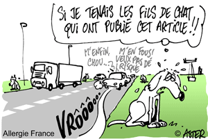 Attention un chat peu cacher un chien !