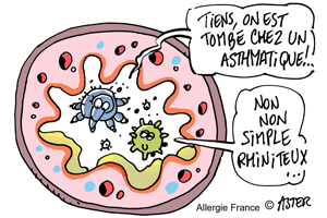 Les bronches s’enflamment dans la rhinite allergique