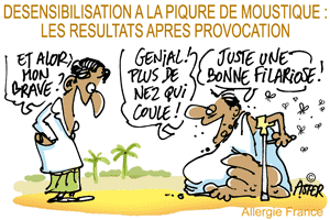 Culex quinquefasciatus et désensibilisation…