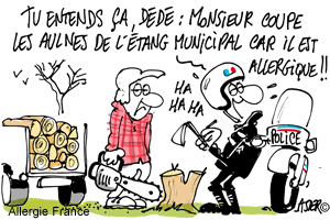 Aulne et sous-bois !