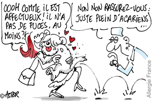 Même les toutous peuvent être allergiques aux acariens !