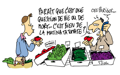 Guide d’achat de la bonne tomate.