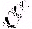 Afpral