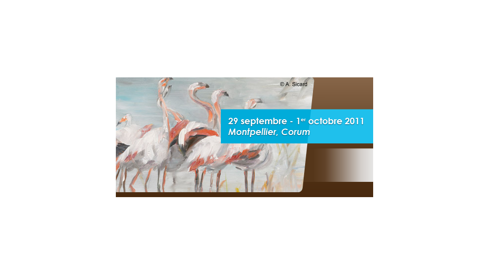 Gerda 2011 - Montpellier