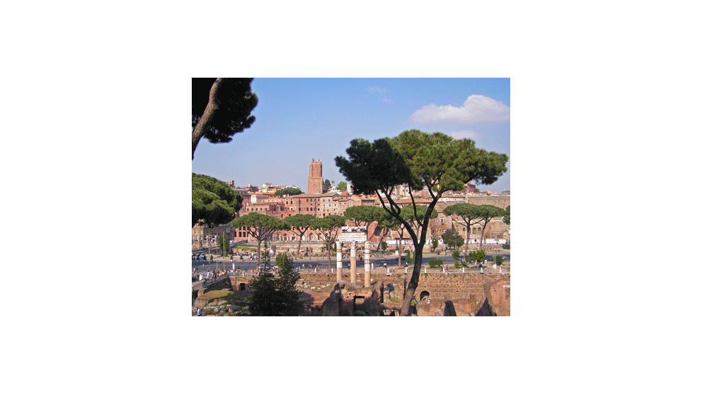 2nd symposium international sur l'allergologie moléculaire – Rome 22 au 24 avril 2007. Congrès du Dr Hervé Masson - 2ème jour