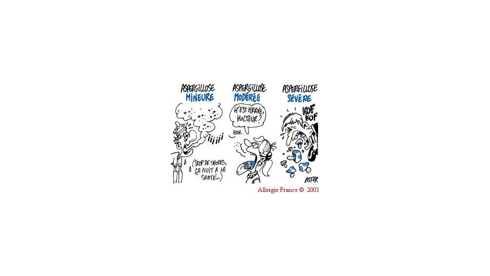 La chasse aux champignons est ouverte toute l'année.