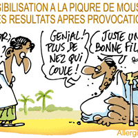 Culex quinquefasciatus et désensibilisation…