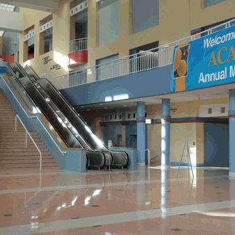 Congrès de l'ACAAI - Miami Beach - novembre 2009