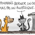 Faut-il exterminer les chats ? La parole est à l'accusation…