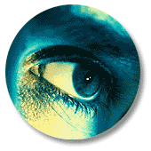 Dossier Conjonctivite et dosage des IgE lacrymales