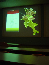 Allergie et Vaccination - Séminaire d'Immunologie clinique de Lyon juin 2003