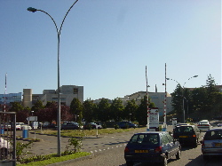 Séminaire d'Immunologie Clinique - Lyon 2003