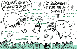 Les acariens à la chaise électrique