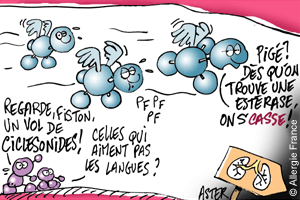 Économie d'énergie et asthme : faire aussi bien avec moins en « roulant » au ciclesonide !!