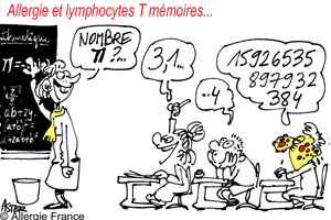 Dis moi quel lymphocyte T tu as je te dirai qui tu es !