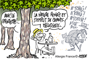 Le platane du bord des routes au centre de nos préoccupations. 