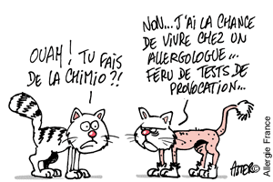 Il n'y a pas qu'en politique que l'on fait de la provocation…