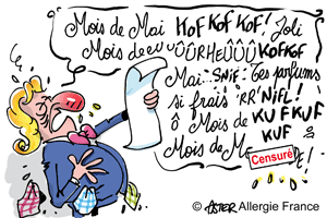 ISMA : Edition 2008 à Salzburg – Suite et fin.