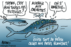 Coquillages et crustacées : on connaît la chanson, mais mal !