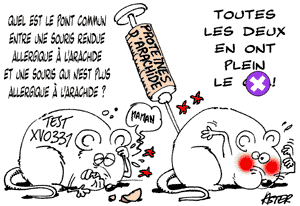 La cacahuète, utile pour attraper les souris allergiques (et les soigner ?)