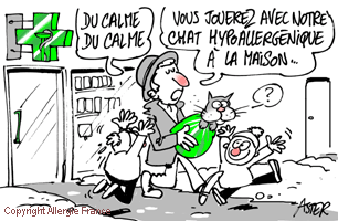 Maman, je peux avoir un chat ?