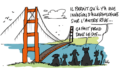 Congrès de l'AAAAI 2011 : San Francisco : sommaire. 