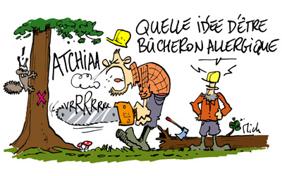 Faire le tour des Bet v 1 c'est du bouleau mais ça a aussi du charme !!