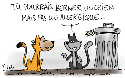 Faut-il exterminer les chats ? La parole est à l'accusation…