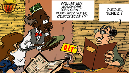 Dommage pour les Suisses ils ne connaîtront pas la belle étude à Rachid !!