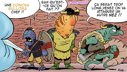 Concha bullosa : une levée de boucliers !