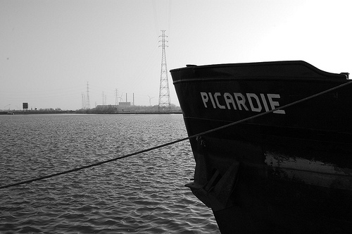 Journée d'Allergologie en Picardie - Vendredi 15 mars 2013