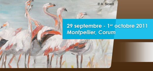 Gerda 2011 - Montpellier